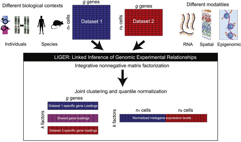 Welch Lab - Publications