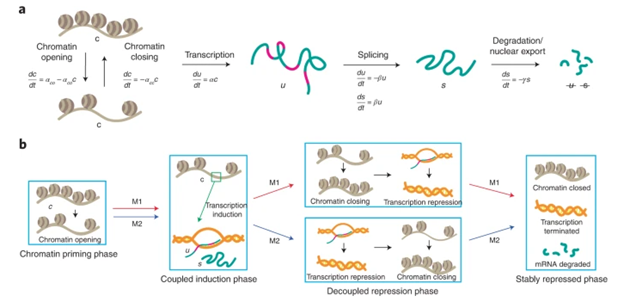 Welch Lab - Publications